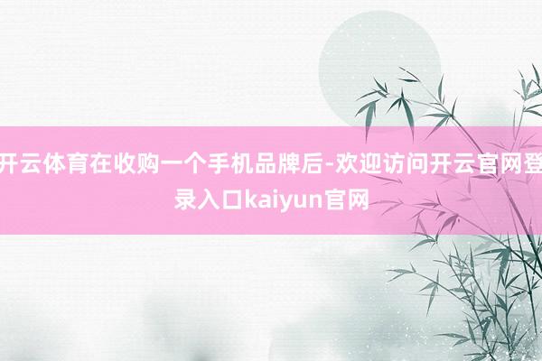 开云体育在收购一个手机品牌后-欢迎访问开云官网登录入口kaiyun官网
